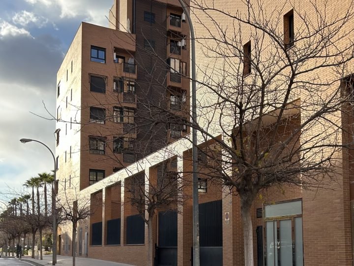 Calle Enriqueta Elizaicin con arbolado, en Benalúa